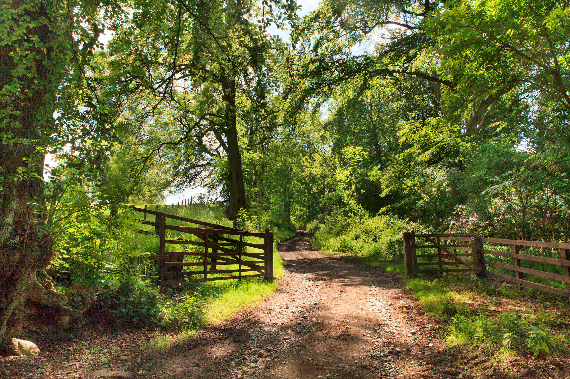Woodlands Farm Hotel Osmotherley  Buitenkant foto